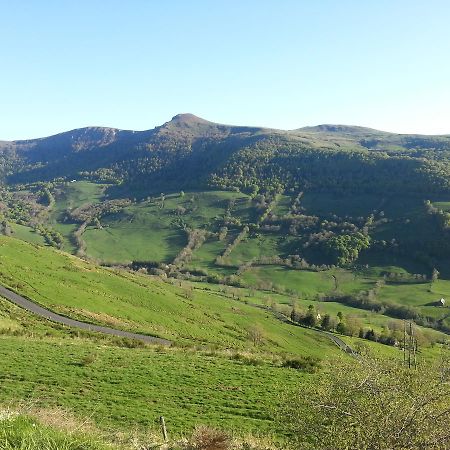 Auberge Du Col De Neronne Otel Le Falgoux Dış mekan fotoğraf