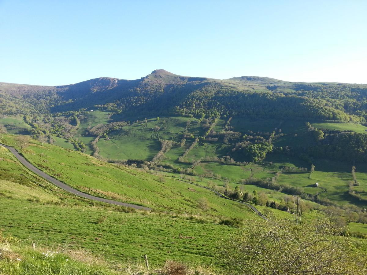 Auberge Du Col De Neronne Otel Le Falgoux Dış mekan fotoğraf